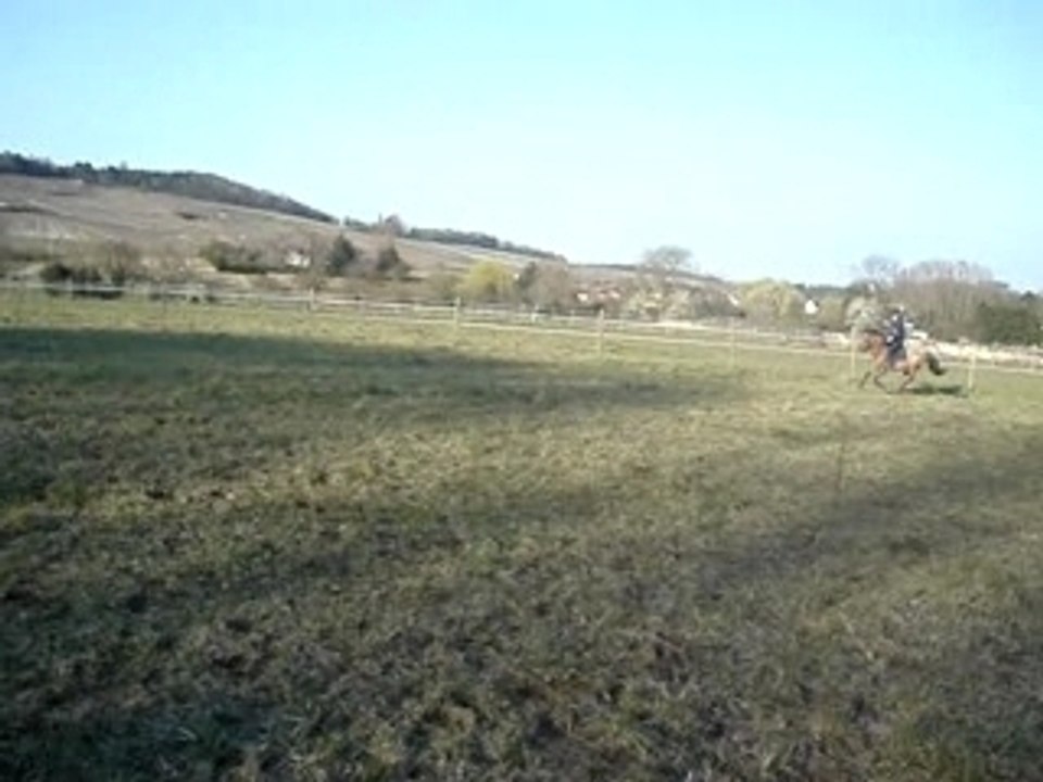 MOV01632