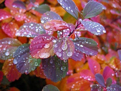 88. Nazron Ki Hifazat/islahi bayanat by hafiz muhammad ibrahim naqshbandi khalifa e majaz peer hafiz muhammad zulfiqar db