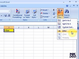 Lesson # 37 The Filter (Microsoft Office Excel 2007 Tutorial)