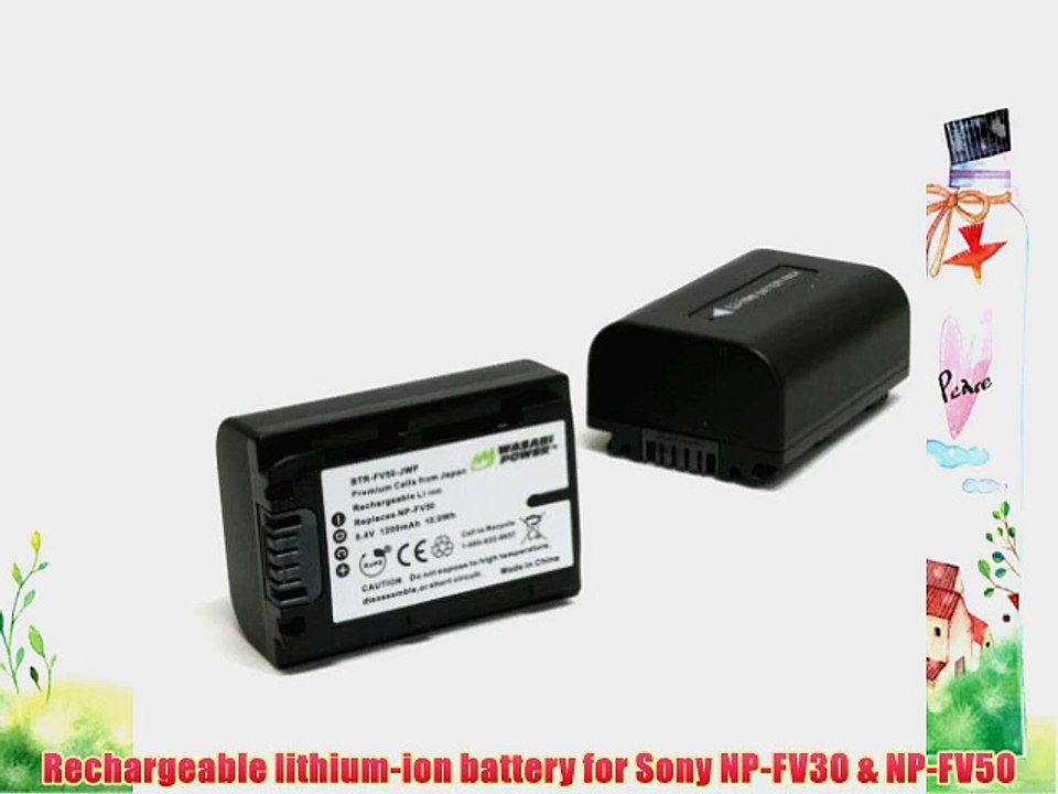 Wasabi Power Battery for Sony NP-FV30 NP-FV40 NP-FV50 (1200mAh 2-Pack)