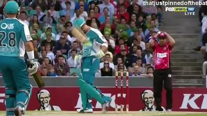 Brutal  Injuries In Cricket History!
