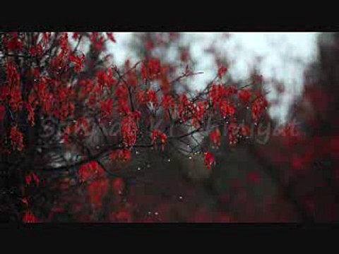 101. Sunnat Ki Ehmiyat/islahi bayanat by hafiz muhammad ibrahim naqshbandi khalifa e majaz peer hafiz muhammad zulfiqar db