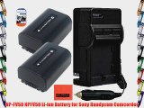 BM Premium Pack of 2 NP-FV50 Batteries And Battery Charger for Sony HDR-CX220 HDR-CX230 HDR-CX290