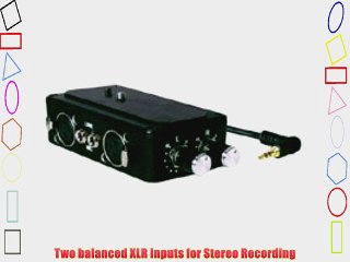 BeachTek DXA-4P Dual XLR Adapter for Canon GL1 / GL2