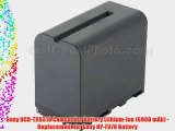 Sony DCR-TRV310 Camcorder Battery Lithium-Ion (6900 mAh) - Replacement for Sony NP-F970 Battery