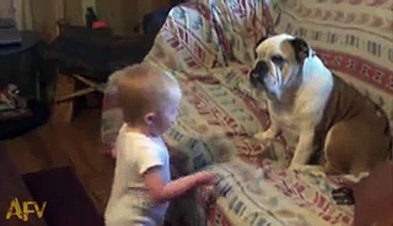 Cute Baby Fighting With Dog - Must Watch