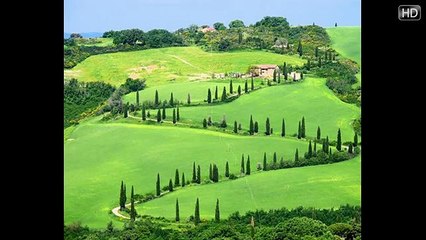 Global Business Sion Bogota Colombia