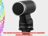 Sony ECM-HQP1 Surround Sound Microphone for DCR-DVD 203 403 305 405 505