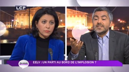 Échanges musclés entre écologistes autour de la stratégie de Cécile Duflot