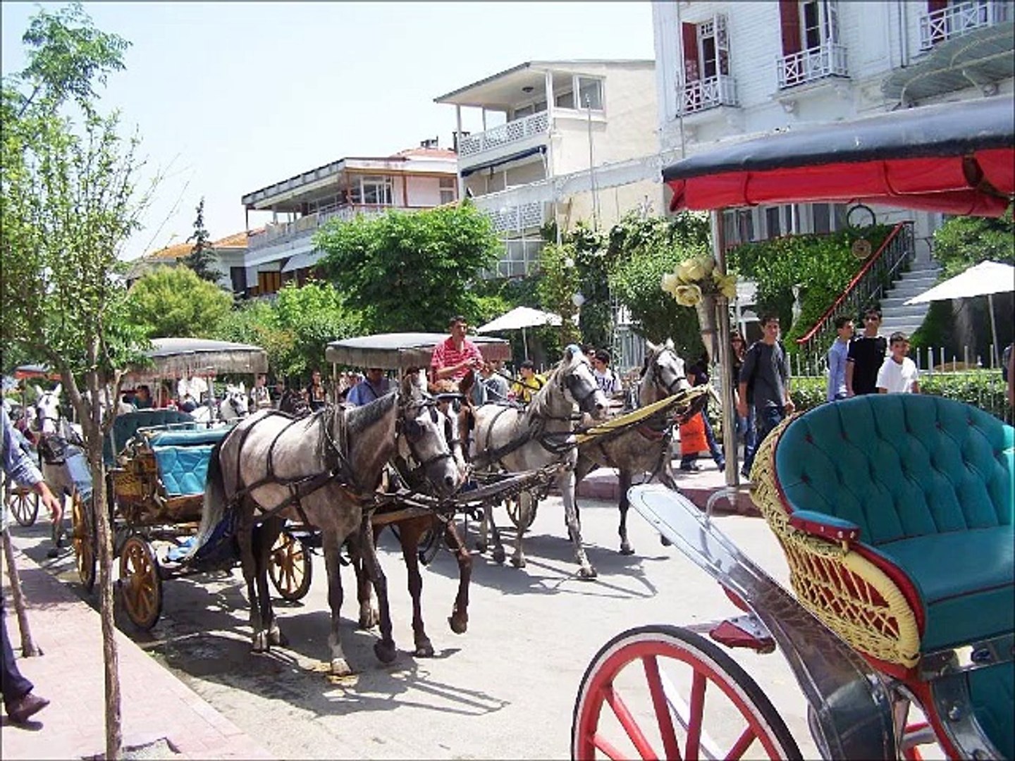 ⁣Turkey Buyukada Travel Guide