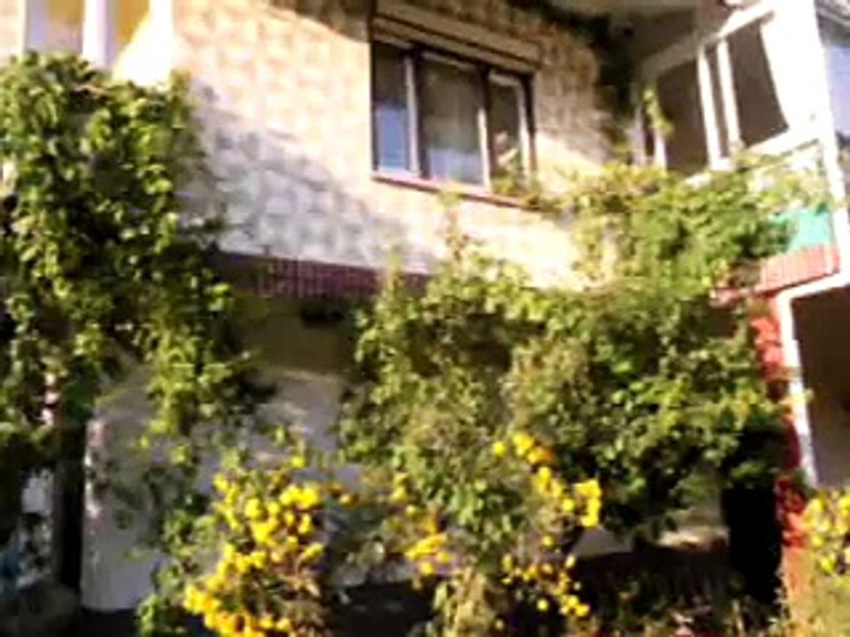 Nedim varol. Tufanbeyli, Adana . (.2015 ) Bahçe_)