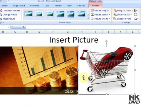 Lesson # 46 The Insert Picture Arrange (Microsoft Office Excel)