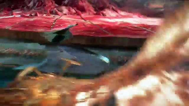 Mazarine You to You pour Grimbergen (Kronenbourg) - «Les territoires de Grimbergen» - mars 2015