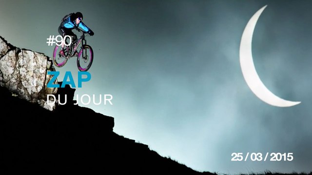 ZAP DU JOUR #90 : Des abeilles dans l'ascenseur / Tactique d'escroc / Plus besoin de GPS ! / Chien défiguré /