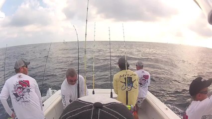 Sailfish Jumps in Boat