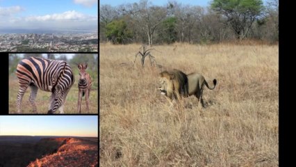 Clip de présentation de l'Afrique du sud