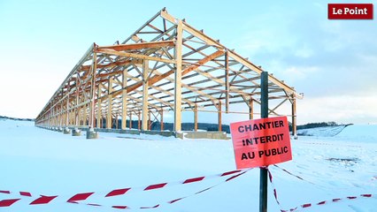 "Ferme des 1000 veaux" : à quoi va-t-elle ressembler ?