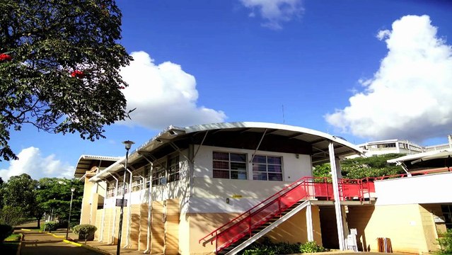 Ambassadeurs en herbe au lycée Denis-Diderot de Nairobi au Kenya-2