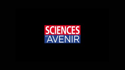 NEUROLOGIE. Voir l'activité cérébrale