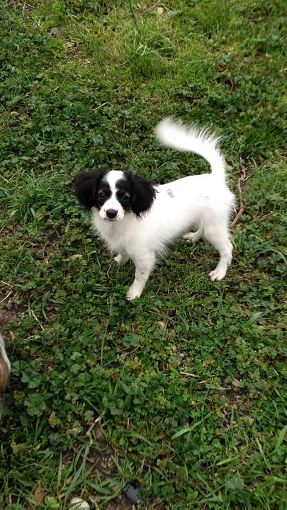 Les bébés de Gloria s'éclatent