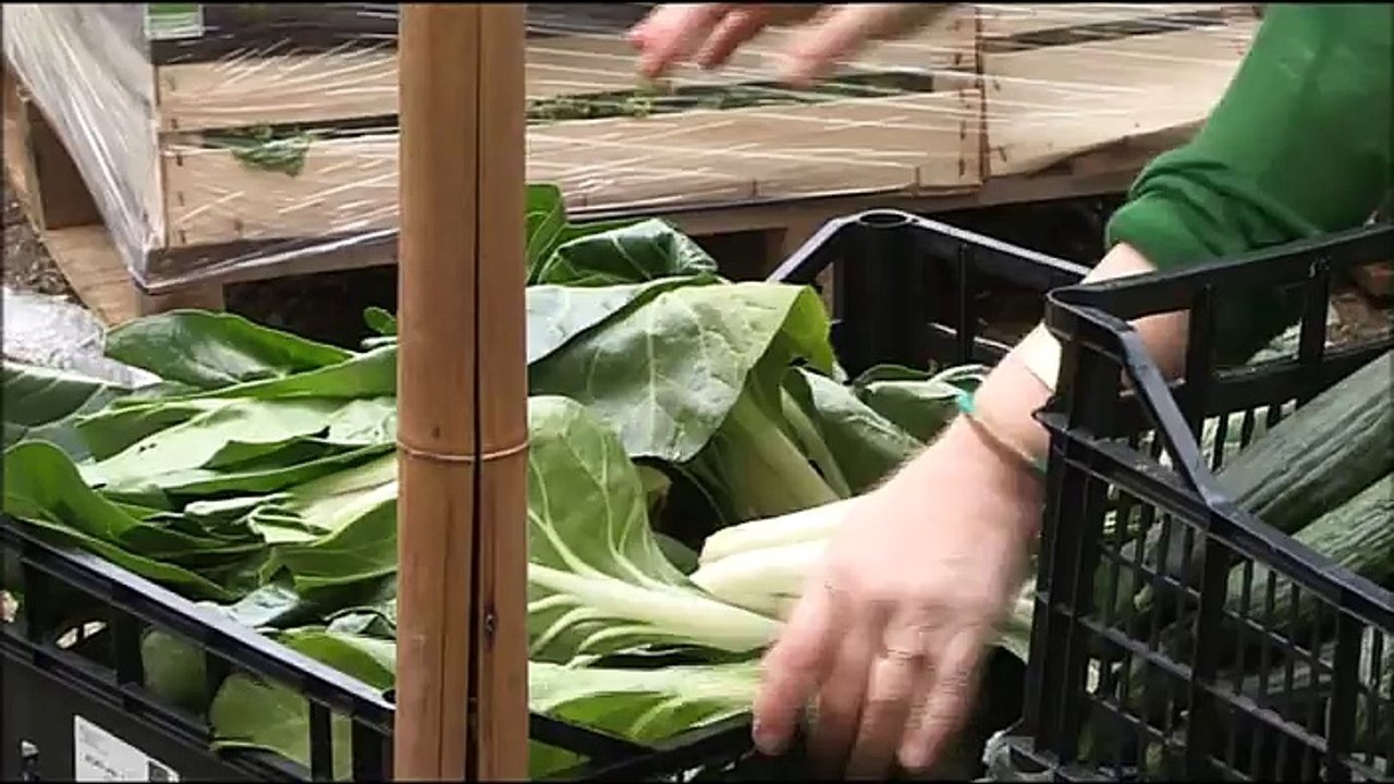 Quand manger sain devient une obsession !