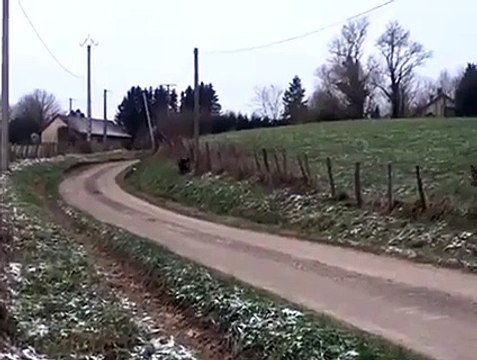 two ponies [little in height horses] knocked out a boar