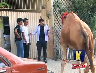 Zara Hut Kay Very Funny Video (2014)