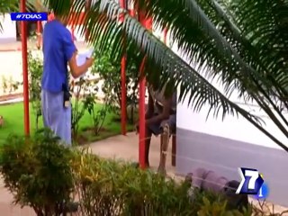 Ébola: mitos y verdades