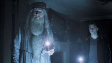 J.K. Rowling's Perfect Response to Fan Who 'Can't See' Dumbledore as Gay