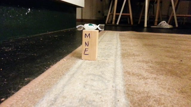 Vlado najmladji navijač Crne Gore pogadja rezultat utakmice Crna Gora vs Rusija za kvalifikacije na EP u Francuskoj 2016