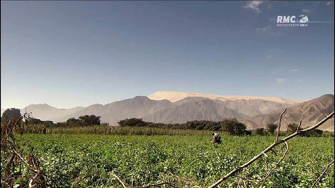Les Lignes Nazca