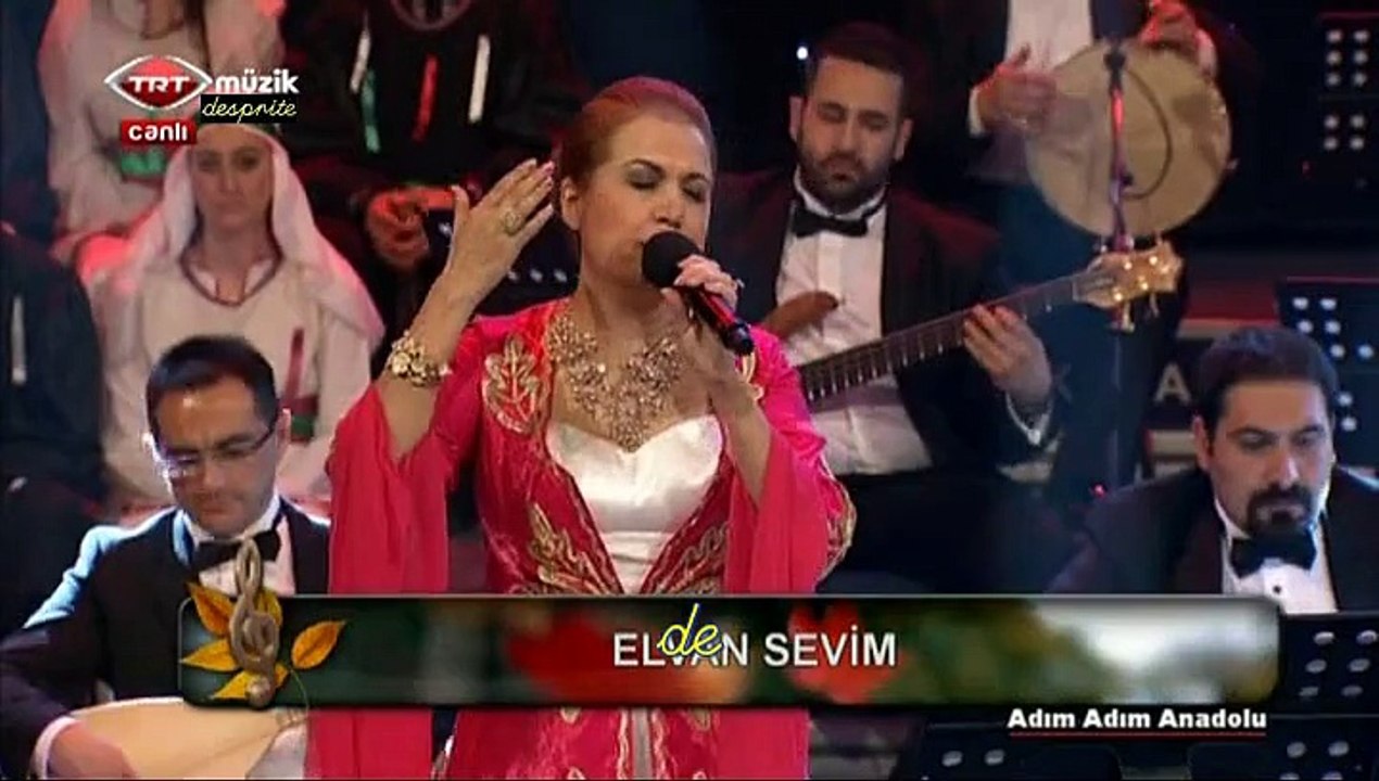 03 elvan sevim armut ağacı 25.03.2015 adım adım anadolu