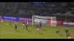 Goal Bendtner - Denmark 2-2 USA - 25-03-2015