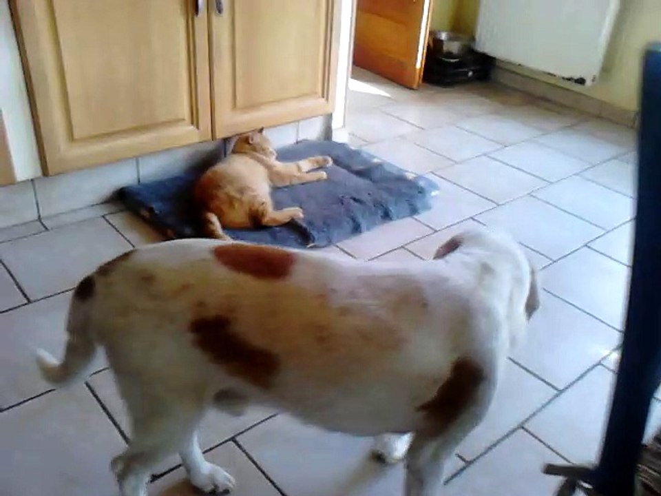 Max et Popo