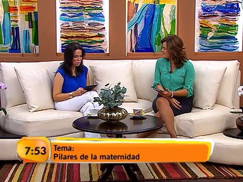 Tema de fondo: Los pilares de la maternidad