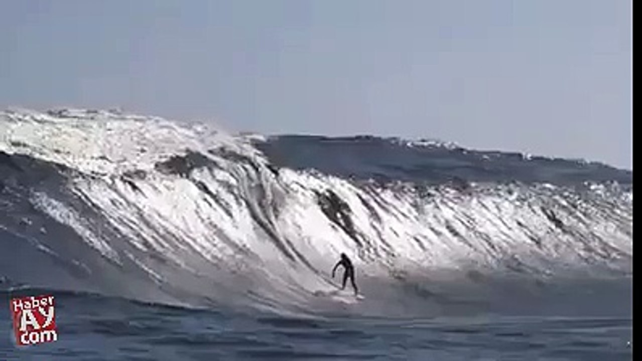 funy-amazing (9)