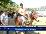 Disfrute de la fiesta nacional de las mulas esta semana