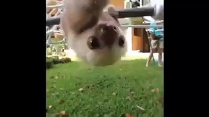 I need one of this right now