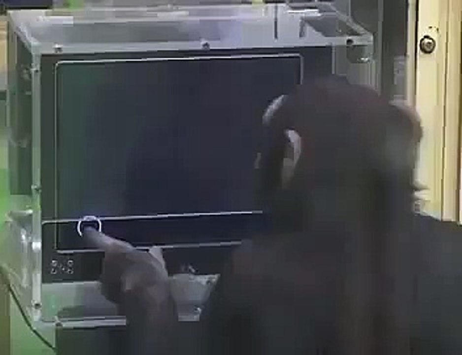 smart Monkey