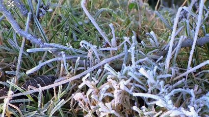 И скоро наступит зима