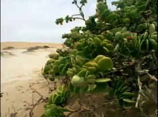 عجیب او حیران کن ویډیو_38 Amazing Shocking Video 2015