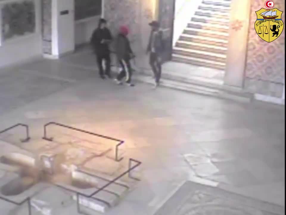 Attentat en Tunisie : l'attaque terroriste filmée par des touristes