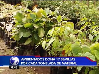 Por cada tonelada de material, Ambientados dona 17 semillas de árboles