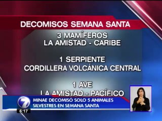 MINAE reporta baja en decomiso de animales durante Semana Santa