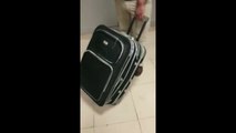 Turkey: Woman tries to smuggle herself over the border in SUITCASE