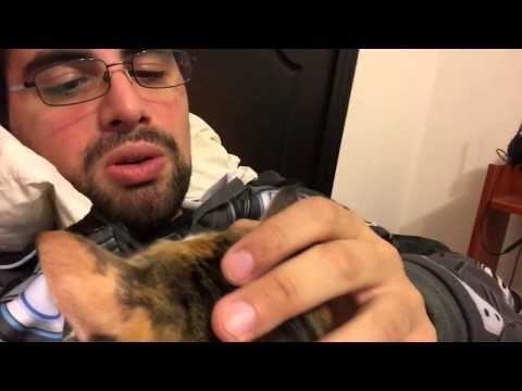 Vardoc Random Life ( Parte 677 ) : Reuniones y Gatitos 24/03/2015
