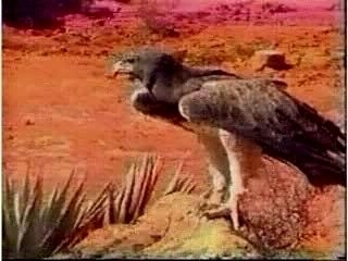 louis armstrong: WHAT A WONDERFUL WORLD