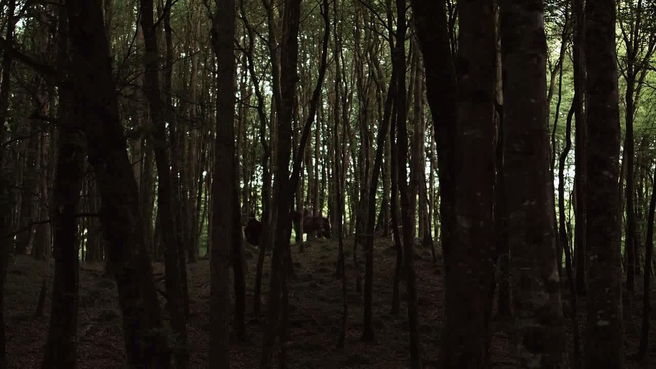 epd-paladin.720p_clip41