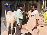 Pakistani Funny Video 3 a Funny video rel page 2 rel Watch On Dailymotion - Video Dailymotion