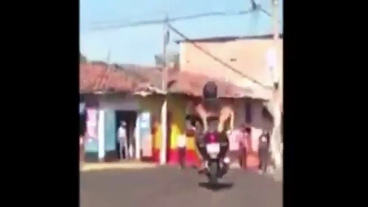 Crazy people... and Dogs
